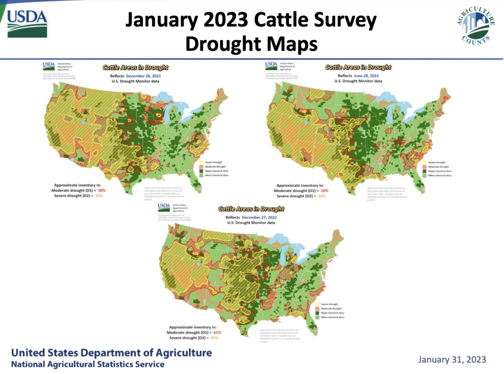 Jan. 1 Cattle Inventory Down 3%, Beef Cow Herd Lowest Since 1962; While ...