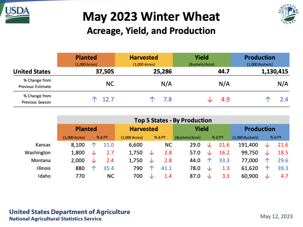 Global Grains Production "Forecast to Hit an All Time High," as Drought ...