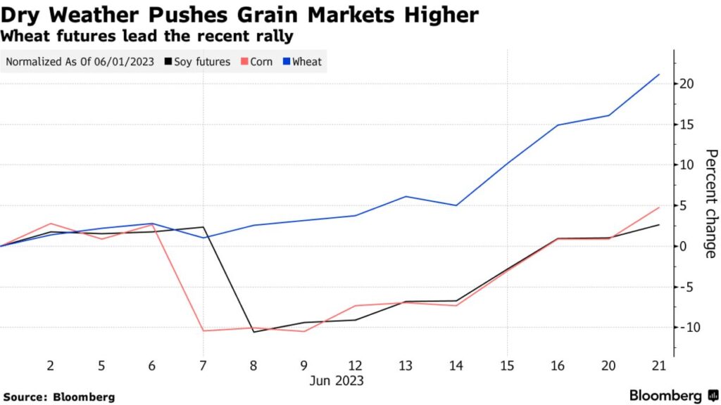Corn "Has Risen More Than 10% in the Last Four Trading Days," Declining ...