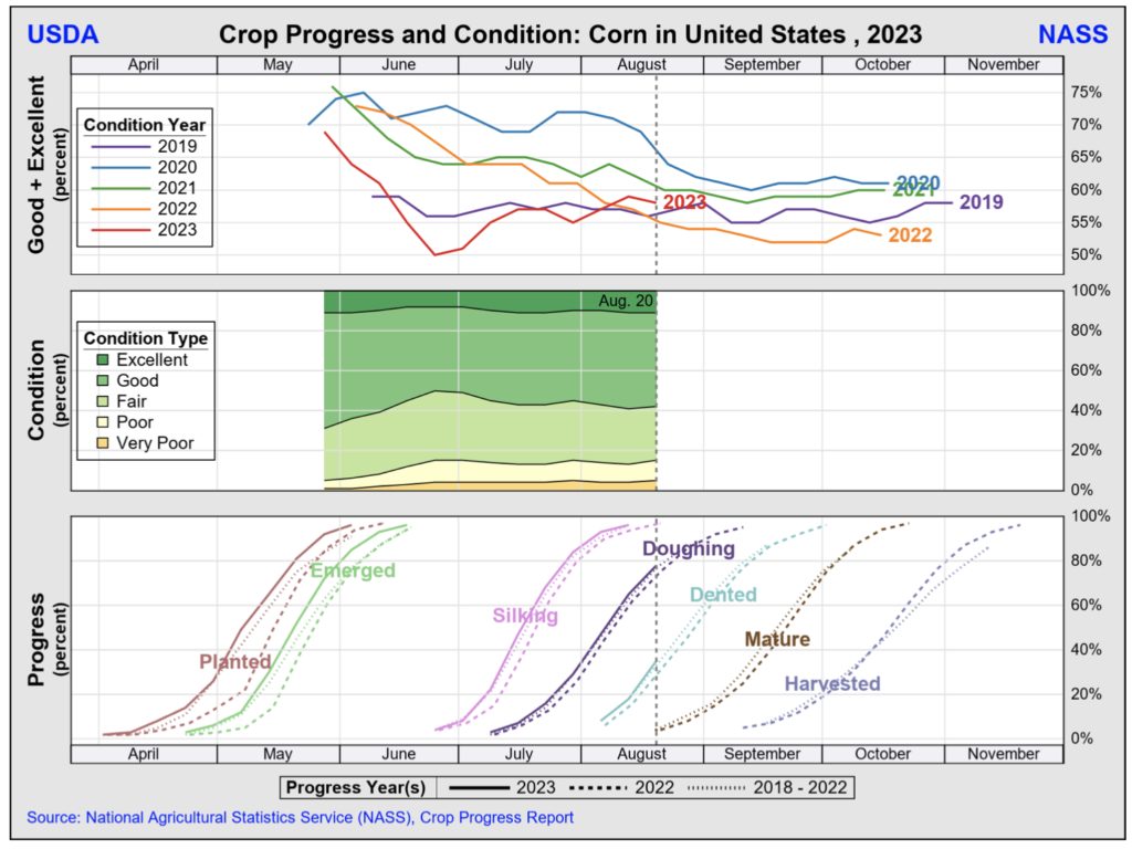 Crop Condition Ratings For Corn And Soybeans Declined Slightly Overall