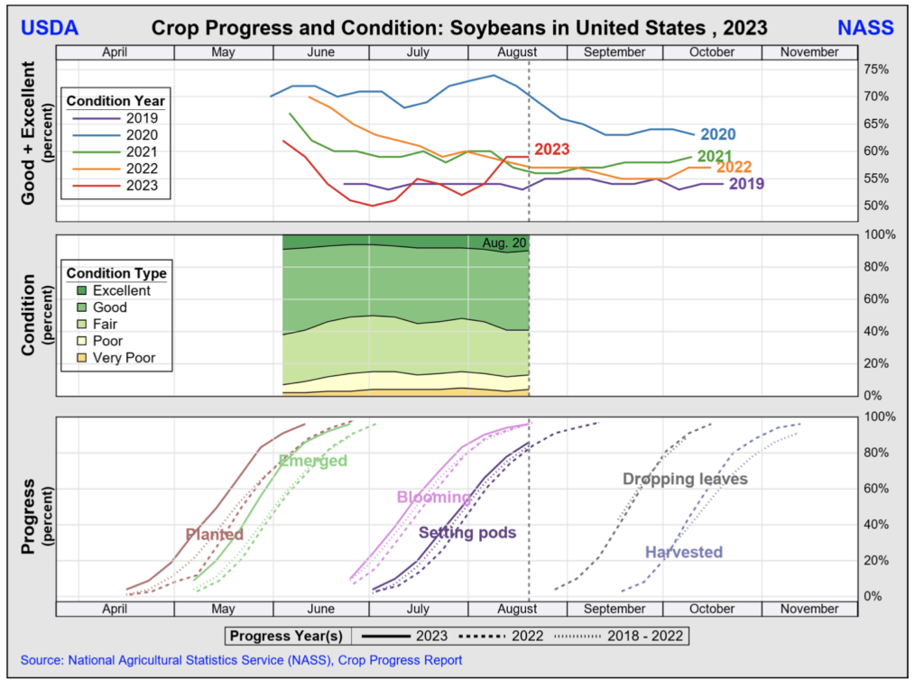 U.S. Corn Ratings Decline, Soybeans Steady, While Spring Wheat