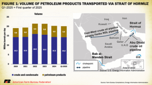 Infographic showing petroleum volumes transported through the Strait of Hormuz from 2020 to Q1 2025. A stacked bar chart shows total flows ranging from about 19 to 22 million barrels per day, split between crude and condensate (about 14–16 million) and petroleum products (about 5–6 million). A map highlights the Strait of Hormuz between Iran and Oman, nearby Gulf countries, key oil pipelines, and the Bab al-Mandeb chokepoint.