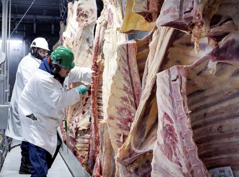 Trump Seeks to Ease Meat Processing Regulations, Targets Big 4 Meatpackers