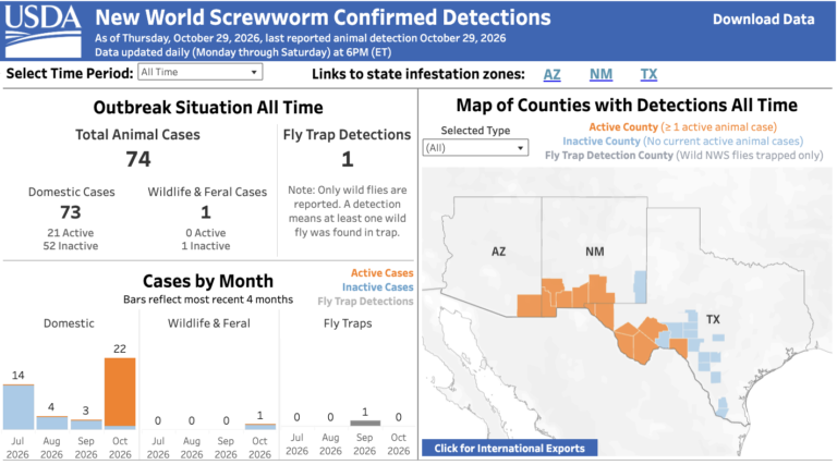 Screwworm Confirmed in Arizona as Infestations Increase in October